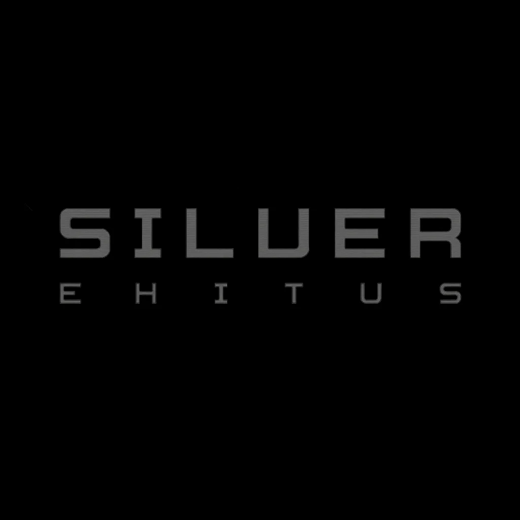 Silver-ehitus-kujund VDisain