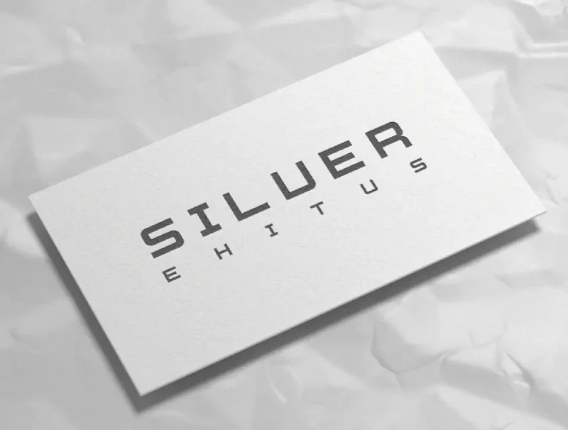 Siluer visiitkaart by vDisain