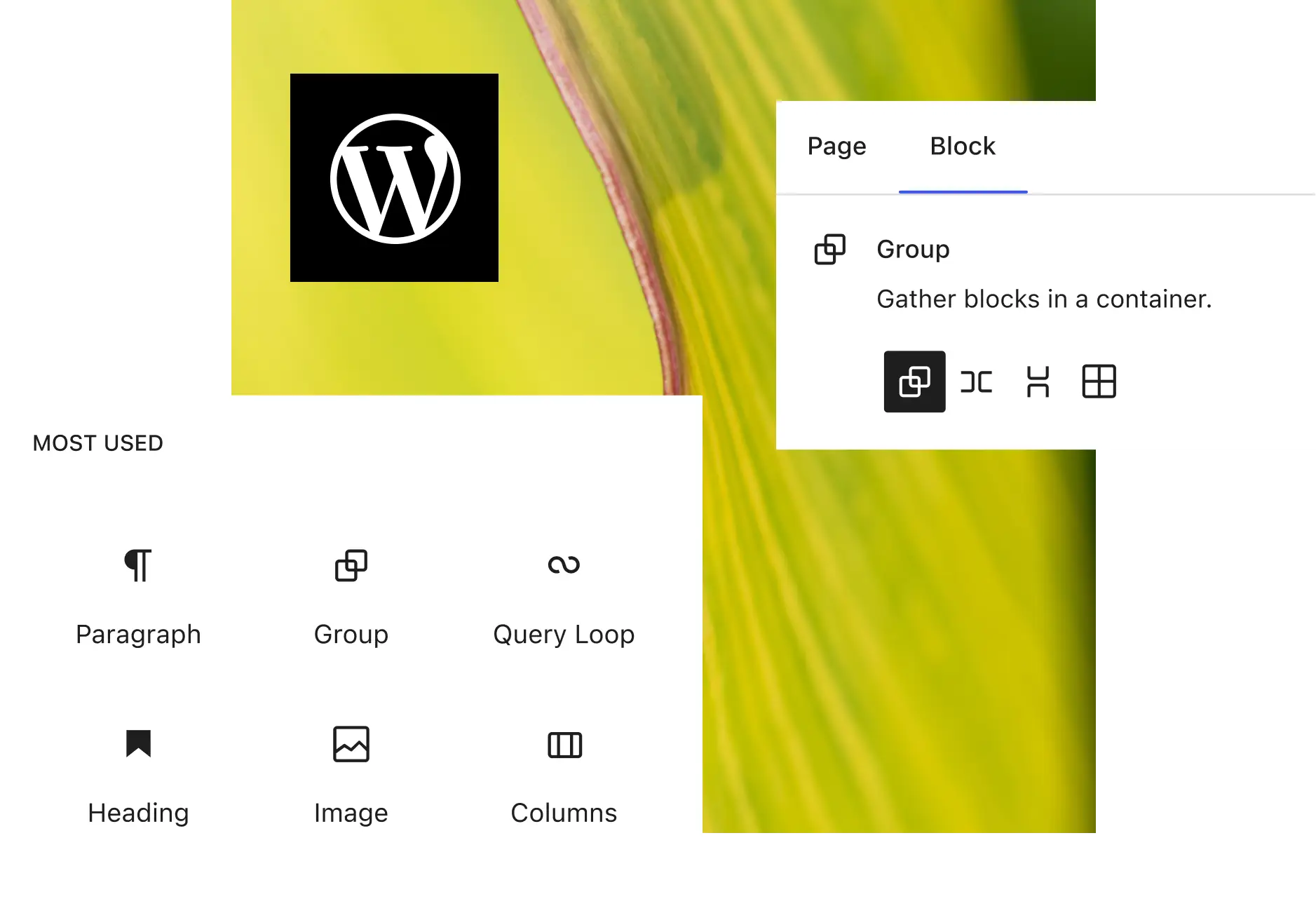 WordPress arenduse teenused